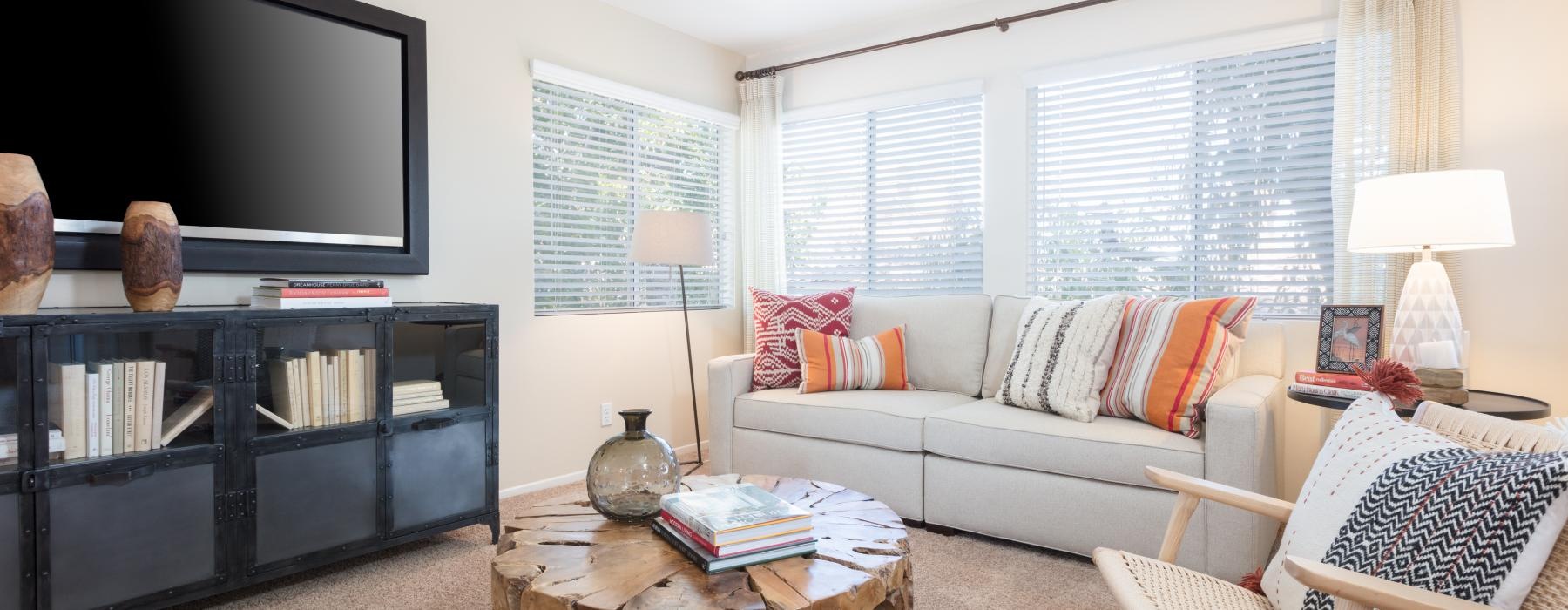 a living room with a tv and couches