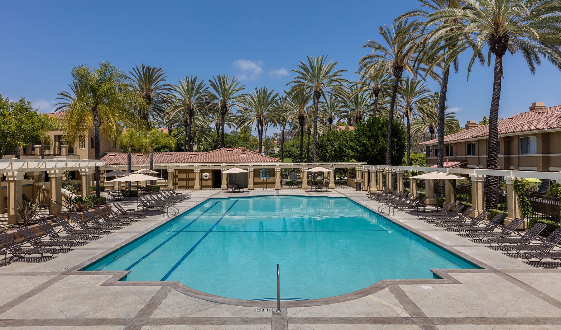 a landscape with a pool, plants and trees