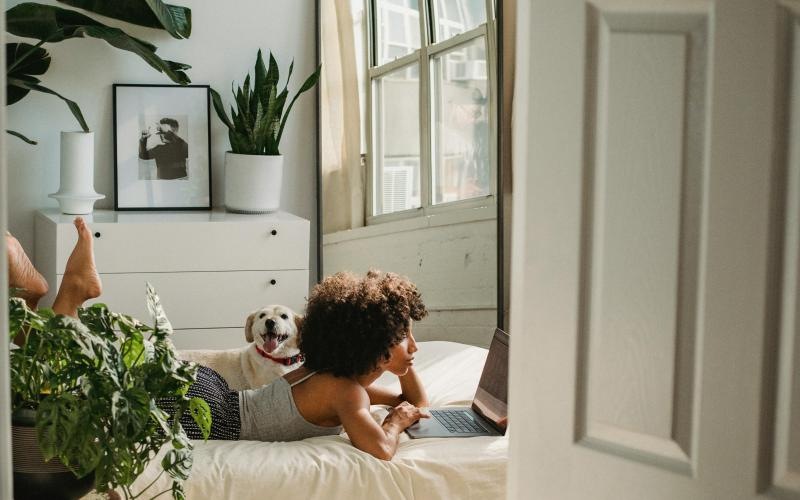 a person and a dog on a bed